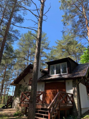 Domek wypoczynkowy w lesie nad jeziorem, Ocypel